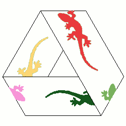 Geckos